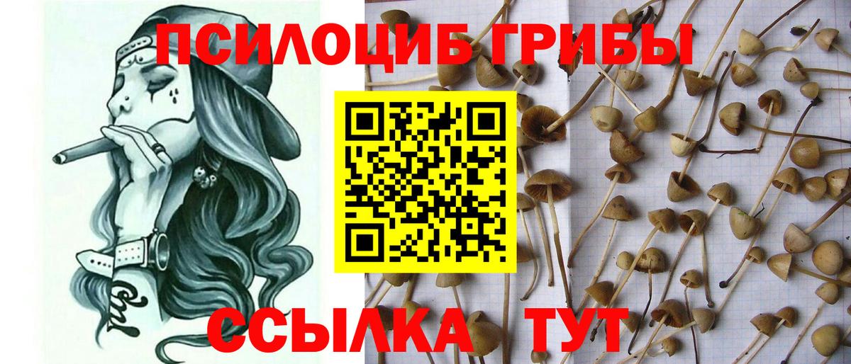Псилоцибиновые грибы ЛСД  Галлюциногенные грибы GOLDEN TEACHER  Вход с VPN  Ипатово 